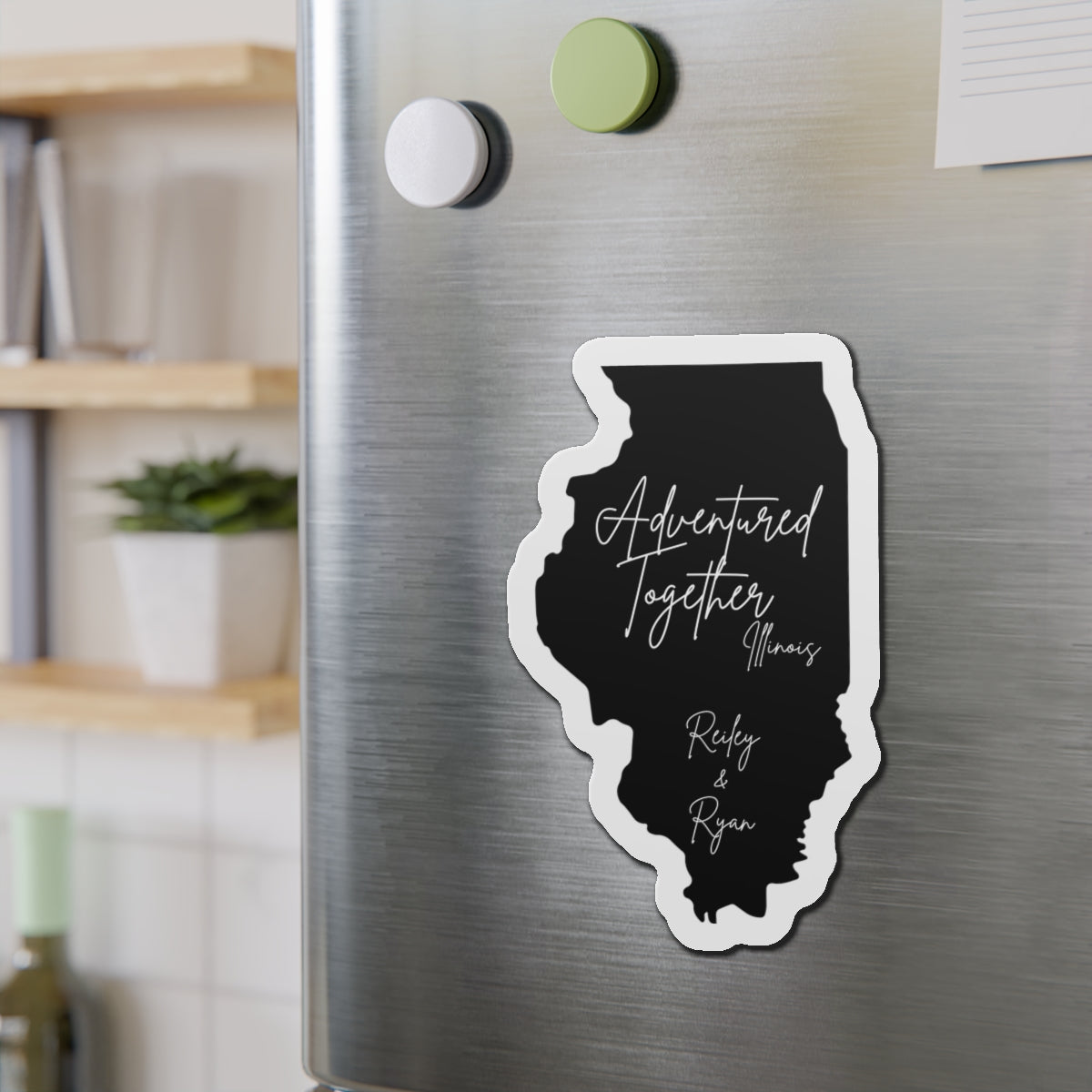 Illinois Travel Magnet
